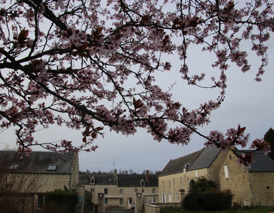 Photo principale gite Longère